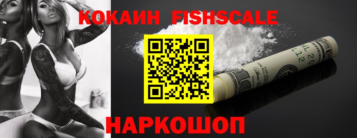 Альфа ПВП Петропавловск-Камчатский