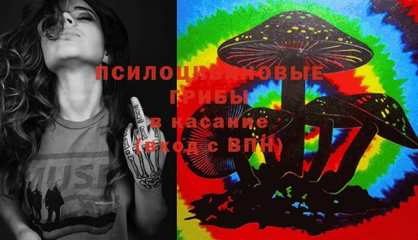 ешки Мегион