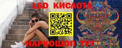 шишки Бузулук