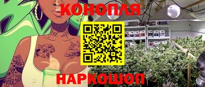 спайс Гатчина
