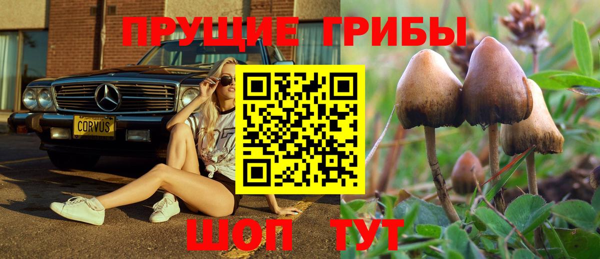Галлюциногенные грибы Psilocybe  наркошоп  Петропавловск-Камчатский  Вход с VPN  Галлюциногенные грибы Cubensis 