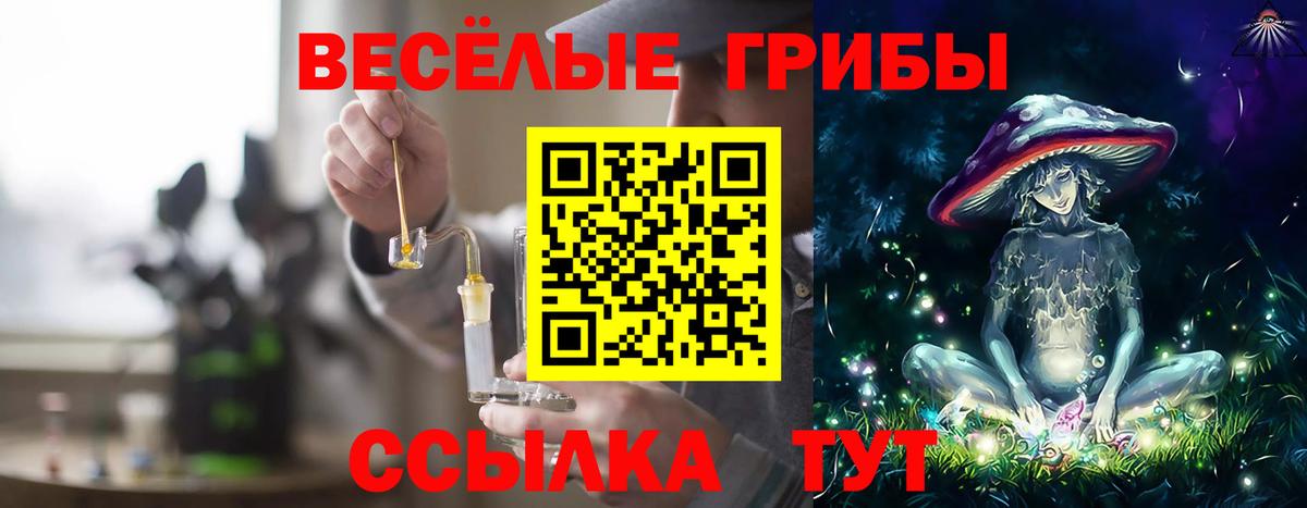 Галлюциногенные грибы Cubensis Петропавловск-Камчатский