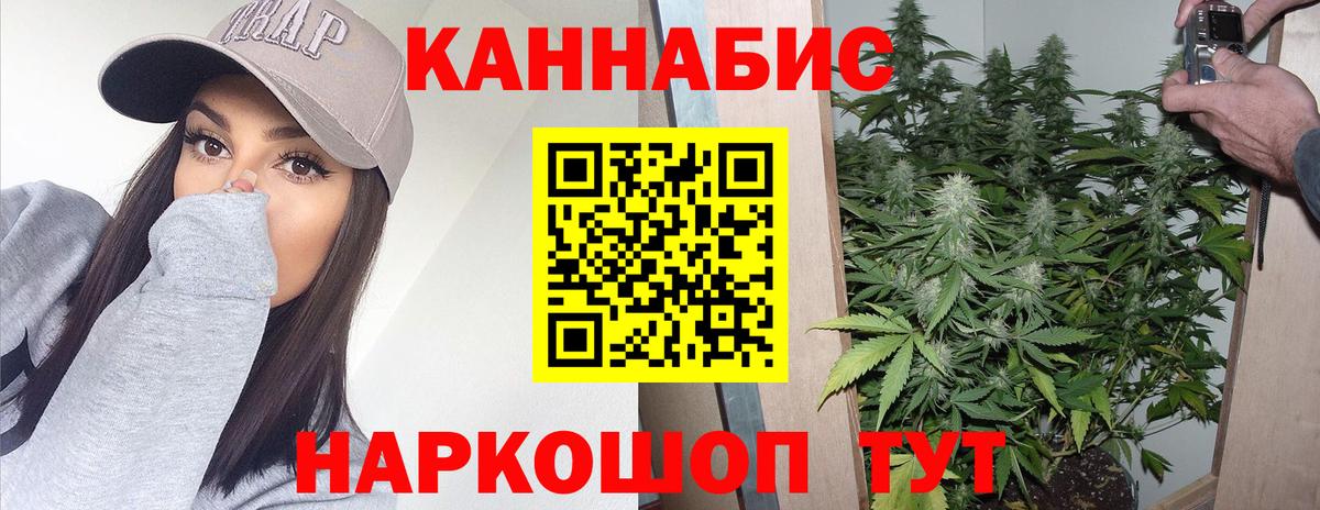 Бошки марихуана конопля Петропавловск-Камчатский